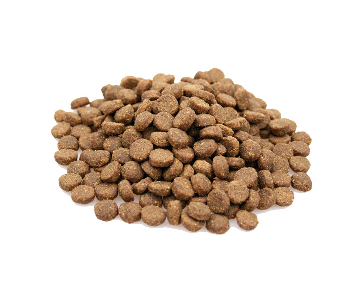 Premium Puppy Grote Rassen
