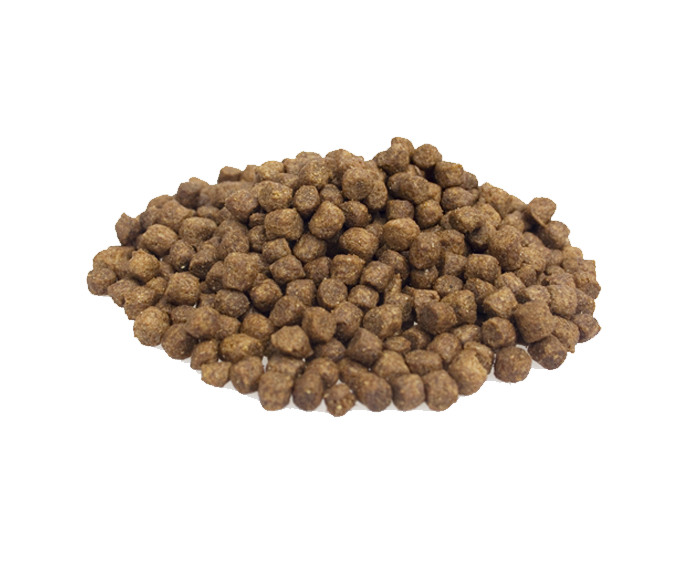 Super Premium Mini Lam & Rijst